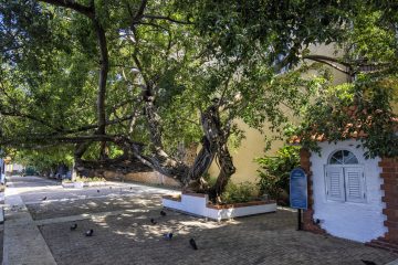 Parque de las Palomas