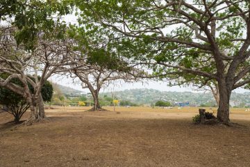 Queen's Park Savannah