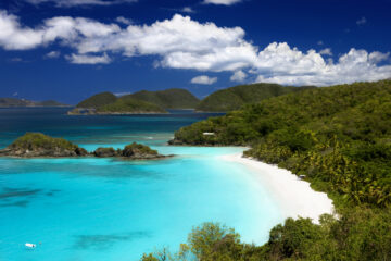 Trunk Bay
