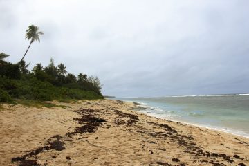 Ha'atafu Beach