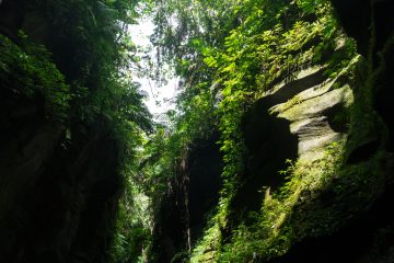 Millennium Cave